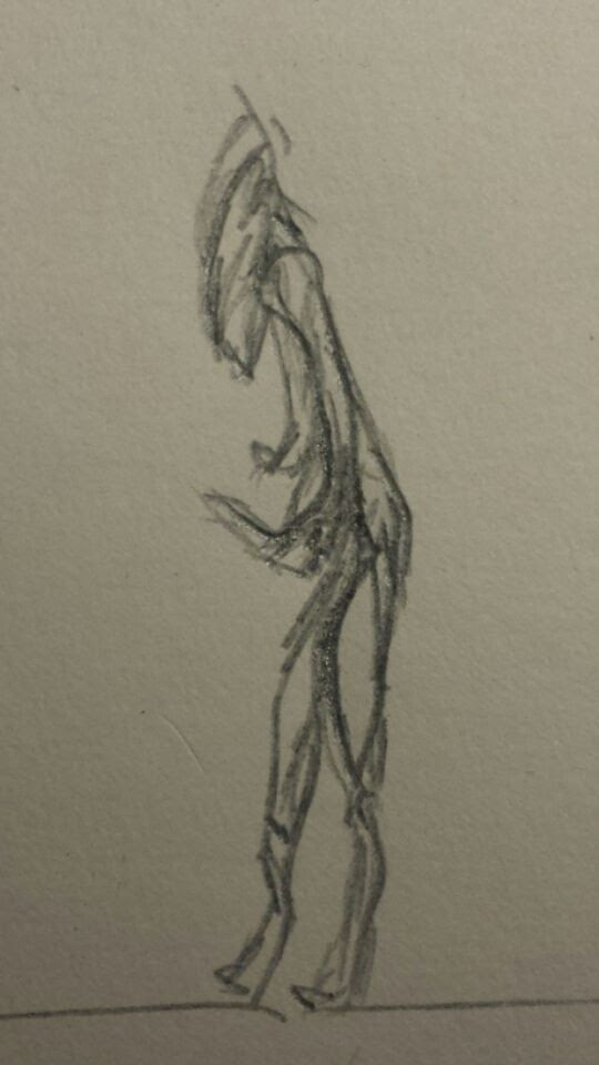 A Strange Creature Near Holy Hill?