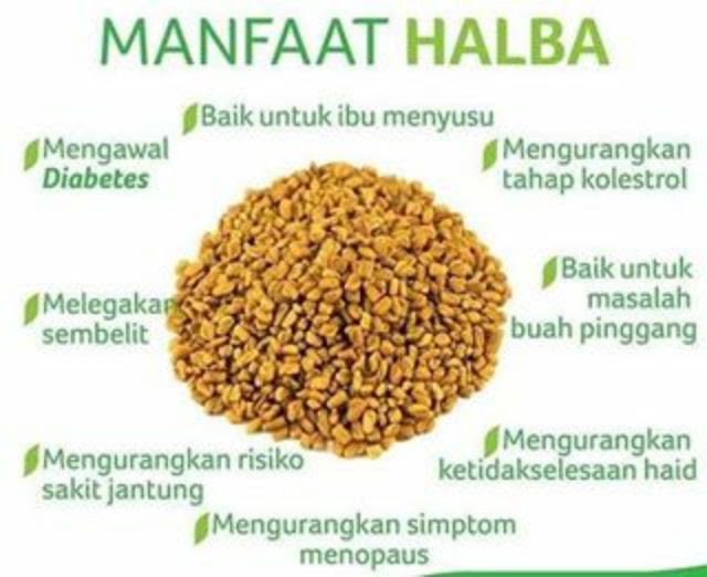 khasiat halba untuk darah tinggi