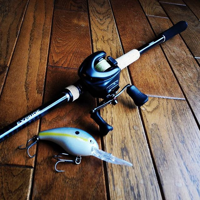 トップ100エクス プライド シマノ すべての魚の画像