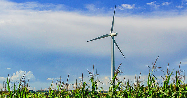 Wind Turbine in Cornfield in Western NY