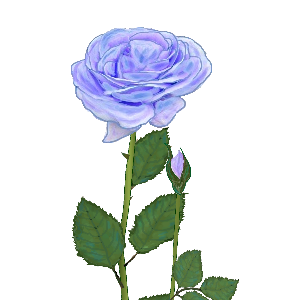 25 ++ 可愛い 青 薔薇 イラスト 320961