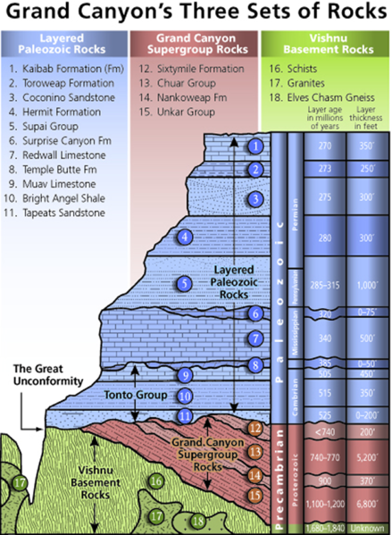 File:Stratigraphy of the Grand Canyon.png