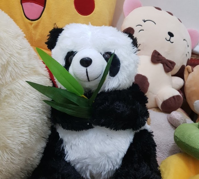Gambar Boneka Panda Lucu Imut AR Production