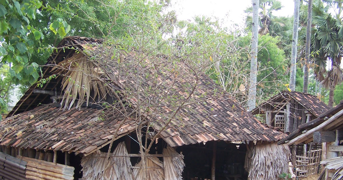  Gambar Rumah Gubuk  Bambu TT Rumah 