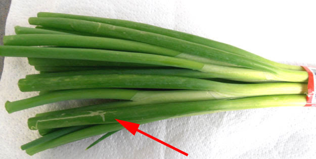 Maybe you would like to learn more about one of these? Green Onions Insect Damage International Produce Training