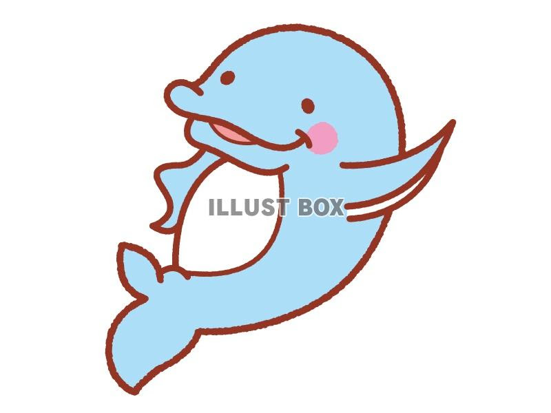 美しい花の画像 トップ100手書き イルカ イラスト かわいい