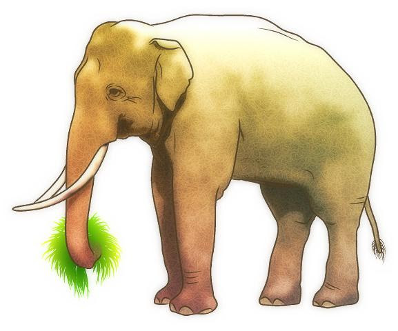 ディズニー画像のすべて 75 フリー 動物 イラスト リアル
