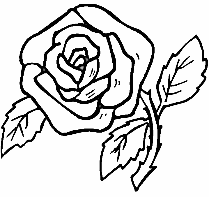 Coloring pictures of flowers help train the fine motor skills of children allowing them to color the. Free Pictures Of Roses To Color Download Free Pictures Of Roses To Color Png Images Free Cliparts On Clipart Library
