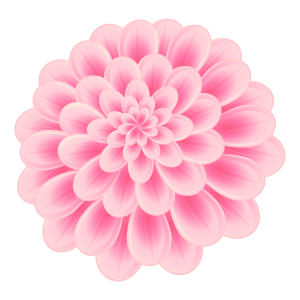 驚くばかりダリア 花 画像 無料 すべての美しい花の画像