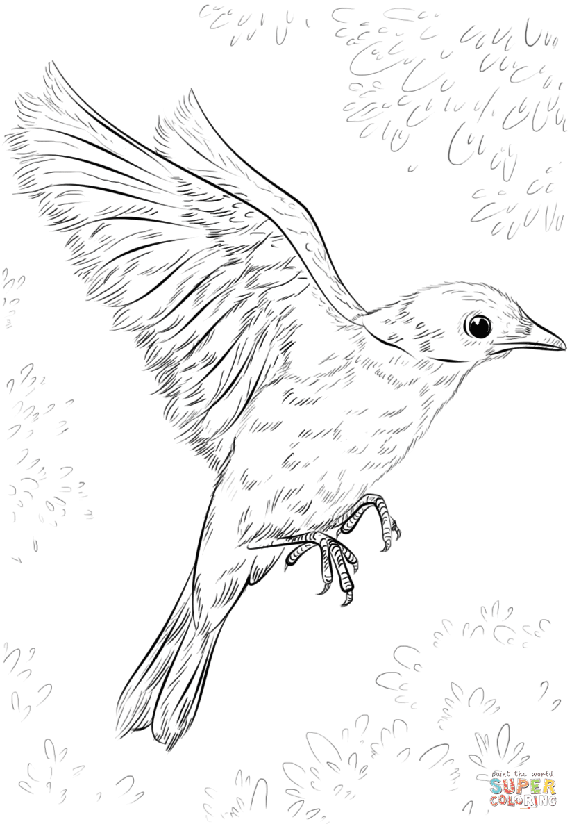 We did not find results for: Blue Bird Flying Coloring Page Free Printable Coloring Pages