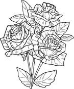 The main feature of rose gardens is the multiplication of its intertwined petals that give it its particular shape. Roses Coloring Pages Free Coloring Pages