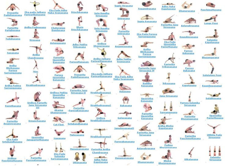 Feel free to use your creativity and add your own insect and bug yoga poses, as well. Free Yoga Poses Download Free Yoga Poses Png Images Free Cliparts On Clipart Library