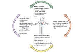 Figure: Risk factors for development, progression, amd morbidity of COPD - Copyright: Elsevier Ltd.