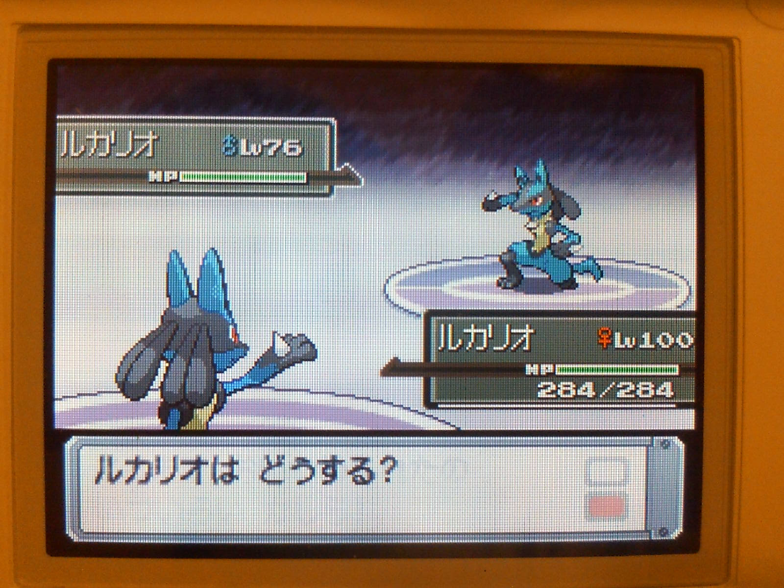 ポケモン ハート ゴールド ルカリオ 世界漫画の物語