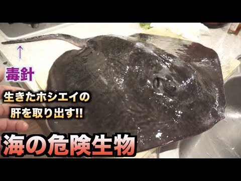驚くばかりエイ肝 危険 すべての魚の画像