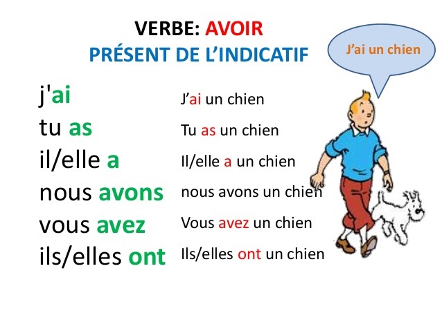 Afbeeldingsresultaat voor avoir au présent de l'indicatif"