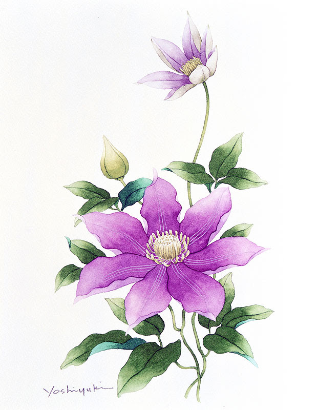 動物画像無料 綺麗な水彩画 花 イラスト