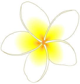 すべての美しい花の画像 ベスト50 プルメリア ハワイ 花 イラスト