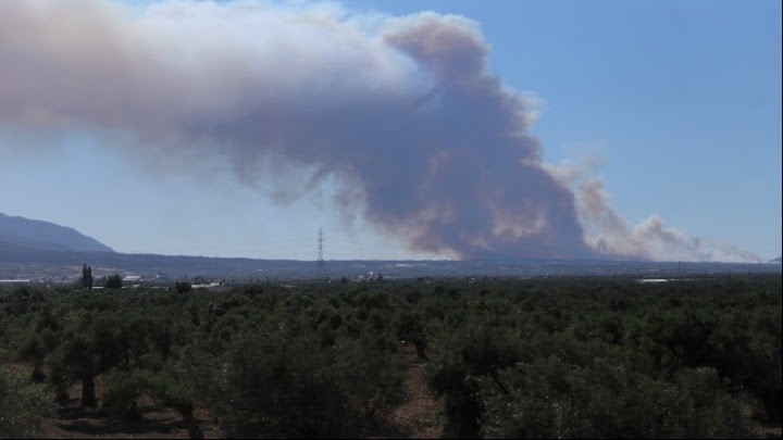 Εικόνα