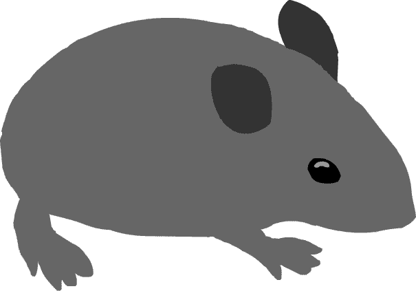 動物の画像について 最新のhdネズミ マウス イラスト フリー