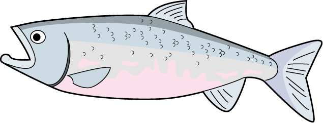 ロイヤリティフリーお魚 イラスト アニメ画像について