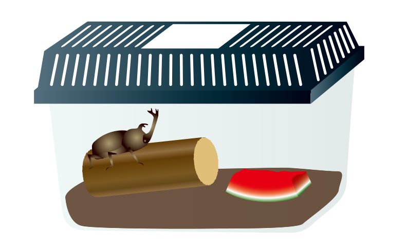 ほとんどのダウンロード 虫 かご イラスト 興味深い画像の多様性