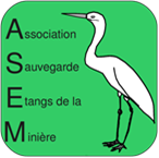 ASEM