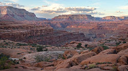 Renew your support to help protect the Grand Canyon and support all of Sierra Club's work