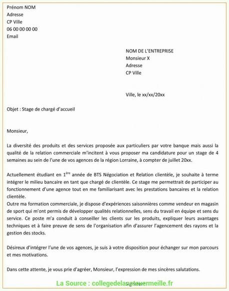Modele De Lettre De Motivation Hotesse D'accueil