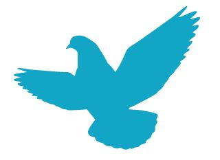 綺麗な鳩 イラスト 簡単 美しい花の画像