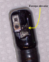  Distal end, Model TJF-Q180V (Olympus) - Illustrating the orientation or forceps elevator in the (a) 'lowered / closed' position and (b) "raised / open