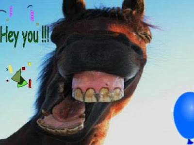 <meta http-equiv="Content-Type" content="text/html;  charset=UTF-8" /> cheval drole joyeux anniversaire humour  329066