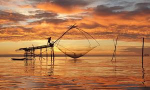La ONU apoya en Tailandia la agricultura sostenible, incluido el sector pesquero.