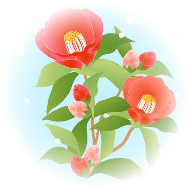 すべての美しい花の画像 ロイヤリティフリー山茶花 12 月 花 イラスト