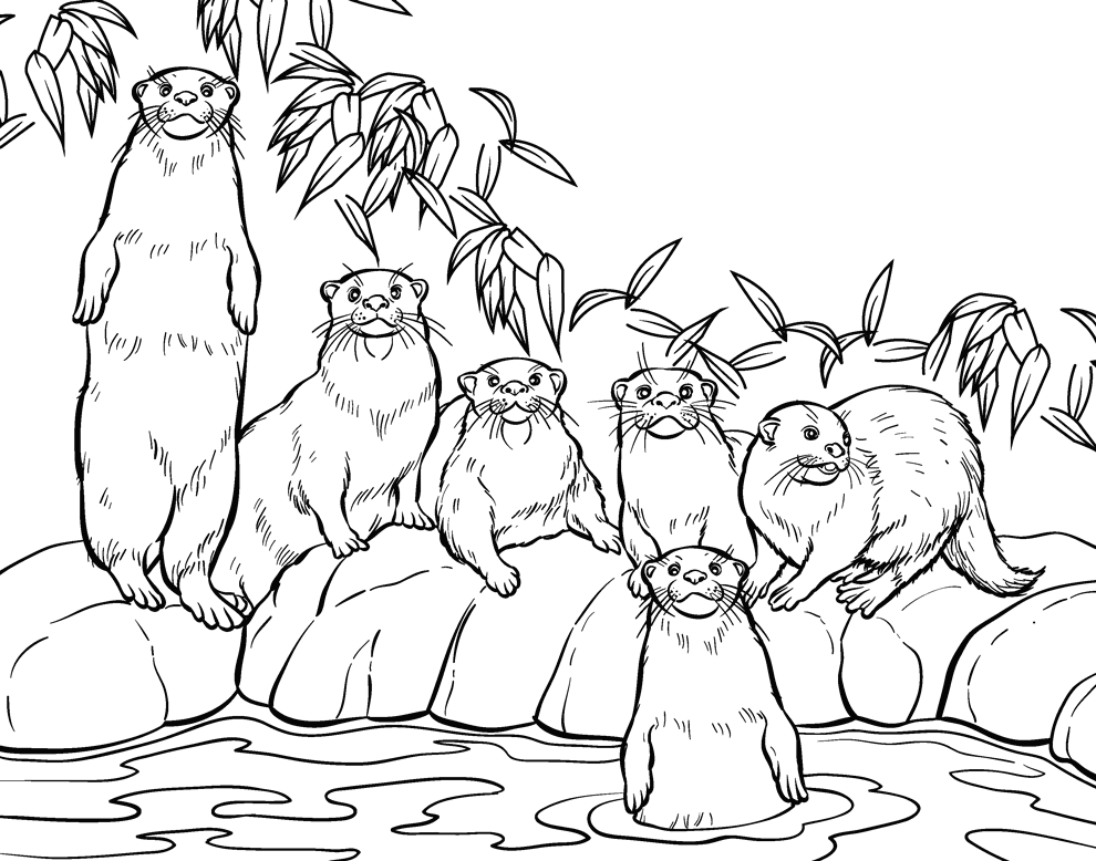 Free river coloring pages to print for kids. Free River Otter Coloring Page Download Free River Otter Coloring Page Png Images Free Cliparts On Clipart Library