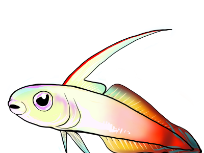 【ベストコレクション】 手書き 魚 イラスト かっこいい 181777
