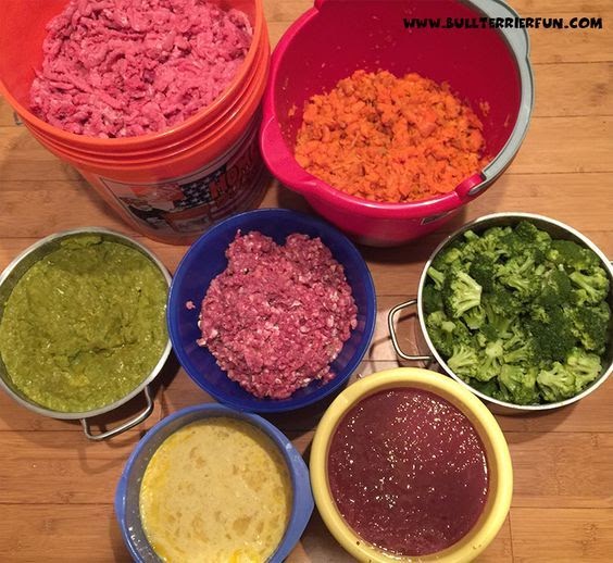 Home Cooked Recipes For Dogs With Diabetes - Recipe ...