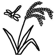美しい花の画像 ベスト50 稲穂 イラスト 白黒