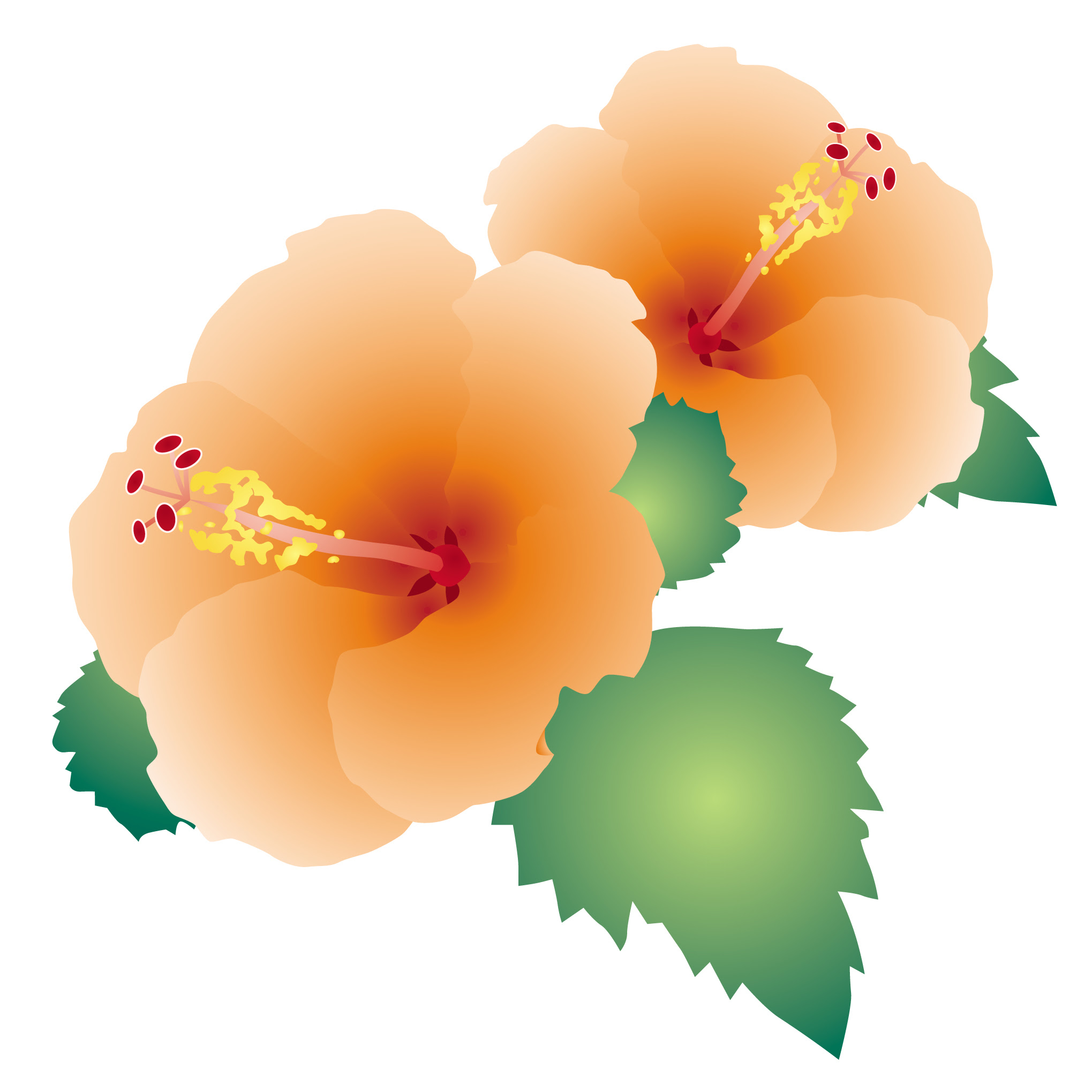 花の島 これまでで最高の7月 イラスト フリー