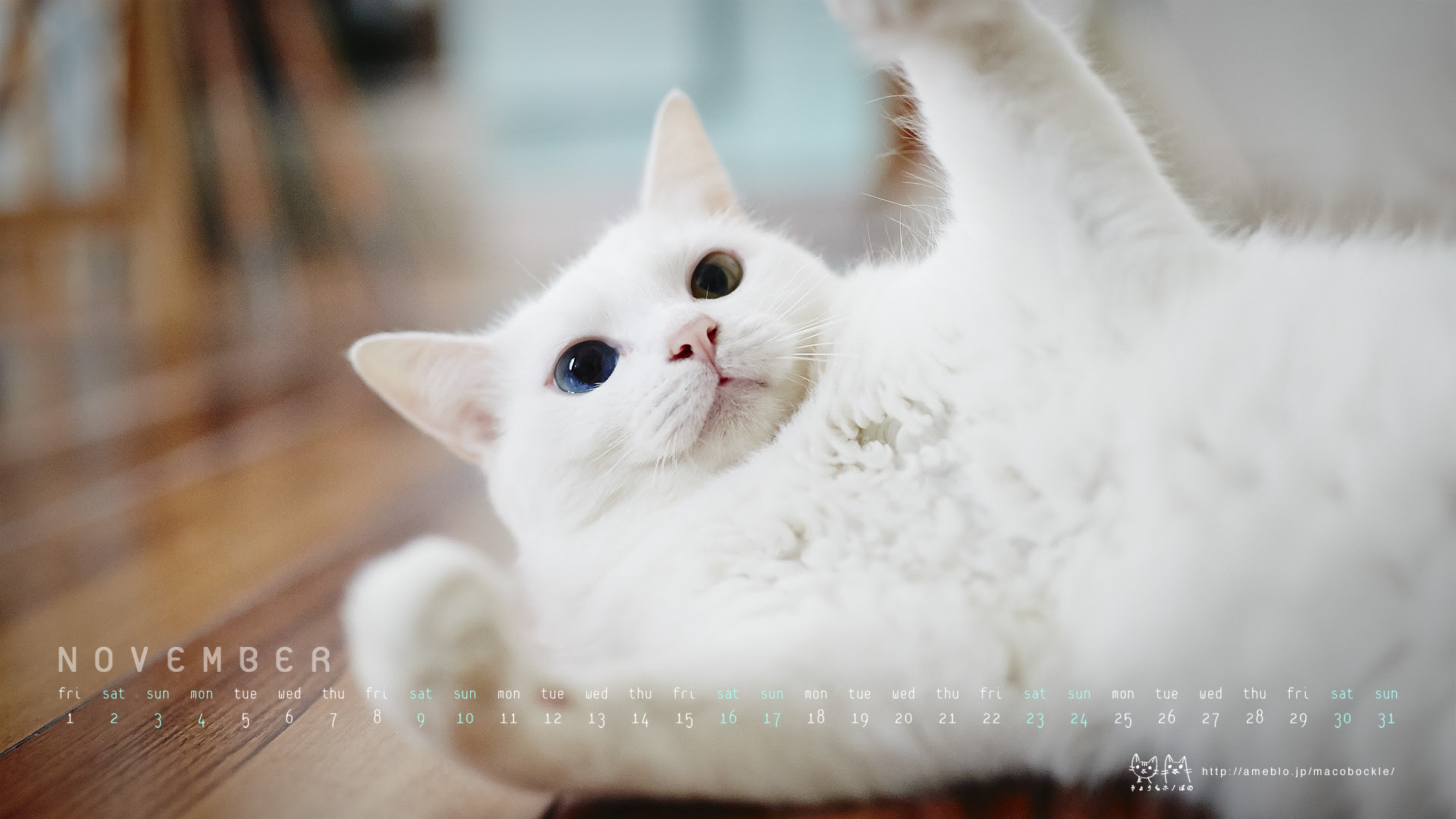100 壁紙 Pc 猫 Kabegamiteh