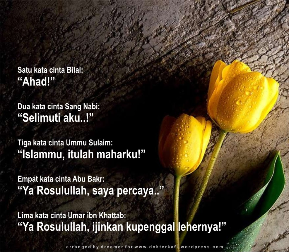 Gambar Wallpaper Cinta Sejati Gudang Wallpaper