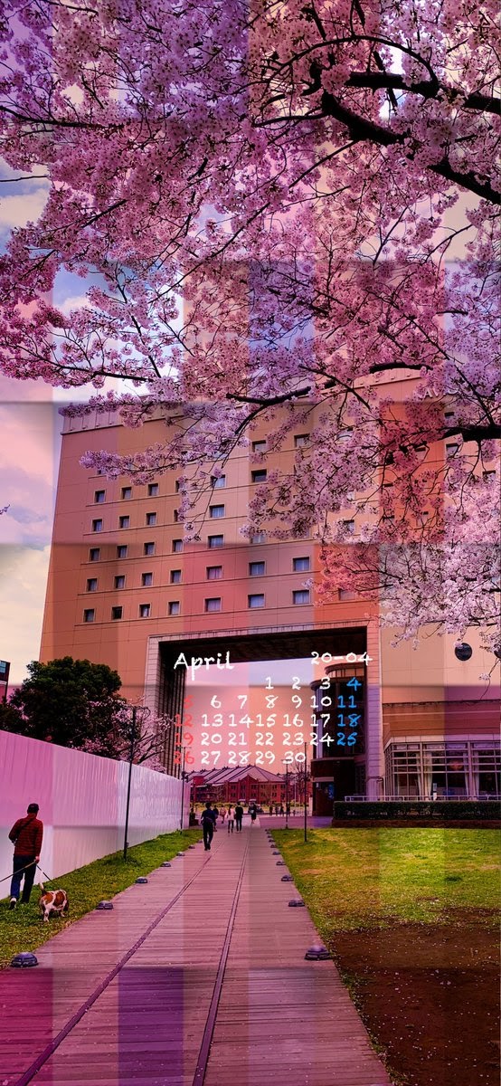 Iphone 壁紙 桜 イラスト の最高のコレクション 最高の壁紙hd