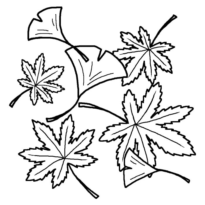 美しい花の画像 最高イチョウ イラスト 白黒