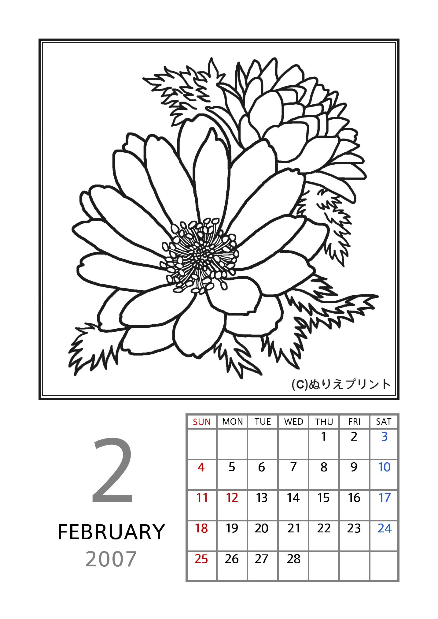 新鮮な花 塗り絵 2月 最高の花の画像