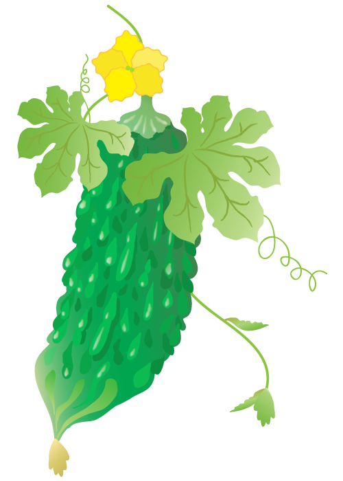すべての動物の画像 最高のゴーヤ イラスト