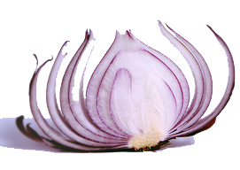 onion peel