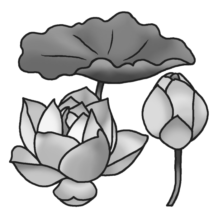 美しい花の画像 75 蓮 イラスト 白黒