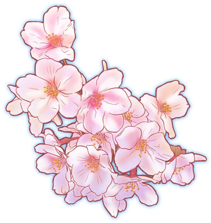 無料ダウンロード リアル 花 イラスト フリー
