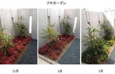 コレクション オタフク ナンテン 花 言葉 346515