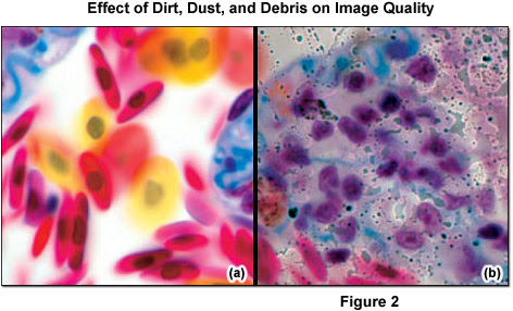 We would like to show you a description here but the site won't allow us. Zeiss Microscopy Online Campus Microscopy Basics Microscope Maintenance